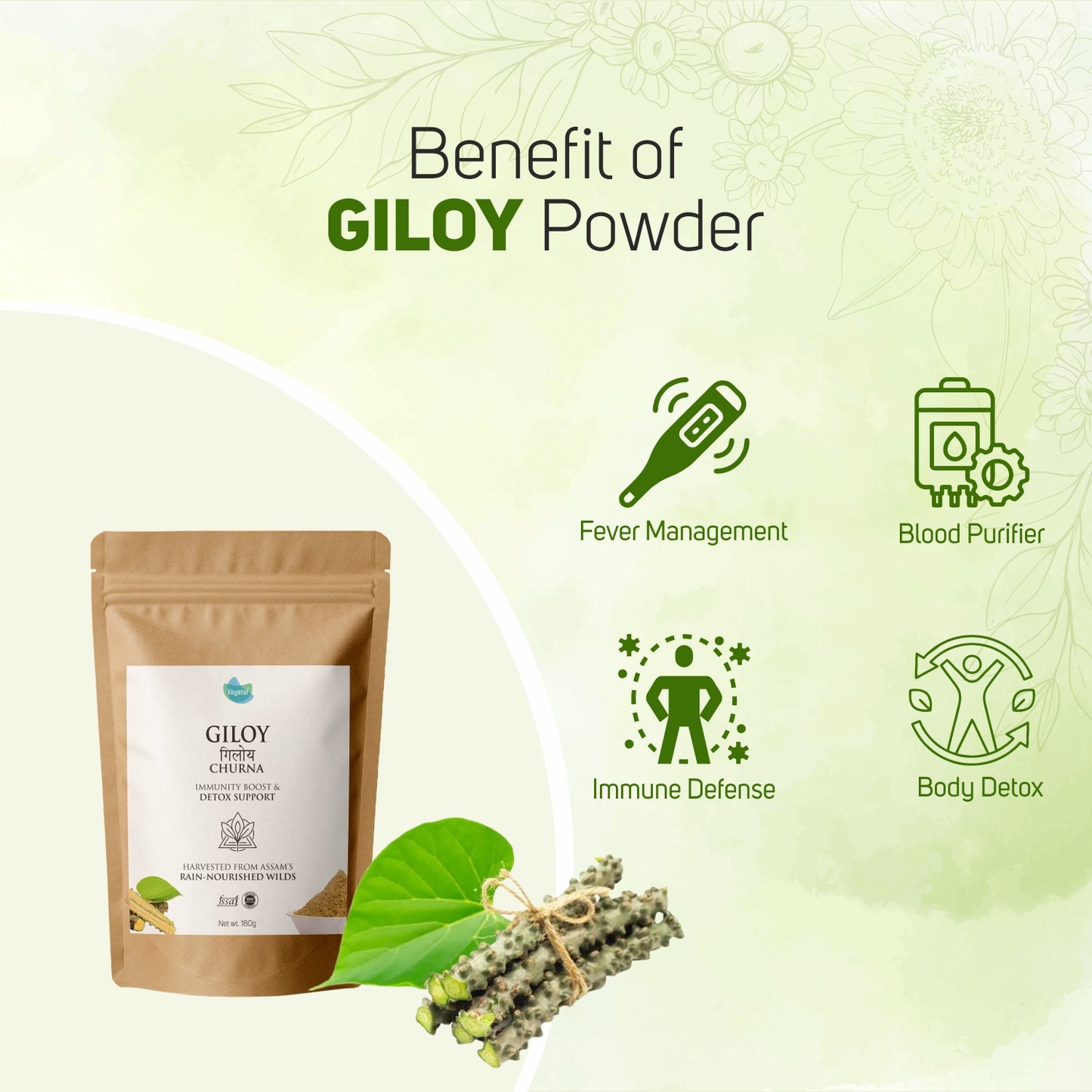 Vegetal Giloy Churna Powder 180g | Tinospora Cordifolia | Immunity Booster, Natural Detox, Ayurvedic Blood Purifier | Harvested from Assam’s Wilds | Herbal Supplement for Fever & Wellness