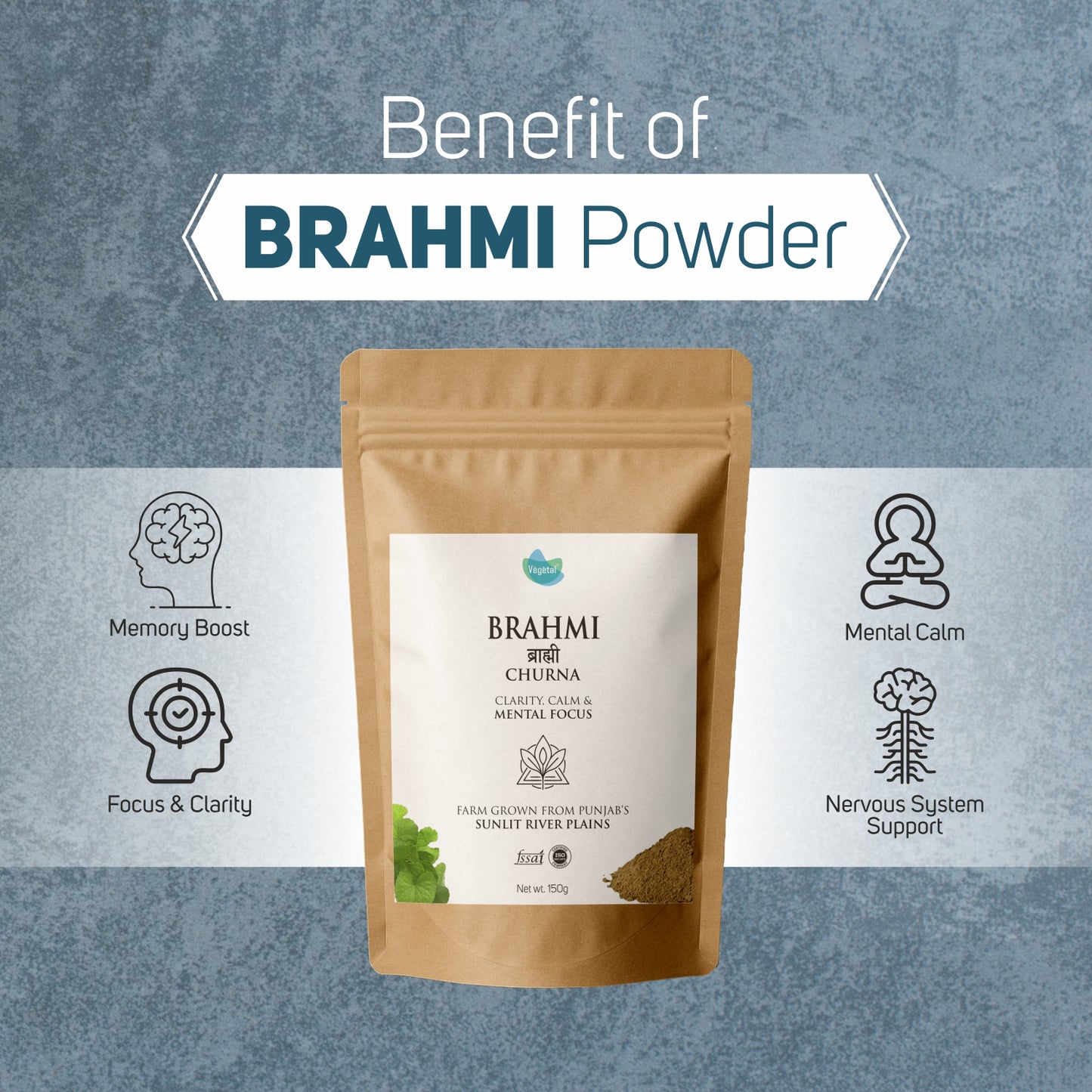 Vegetal Brahmi Churna Powder 150g | Natural Memory Booster, Mental Calm, Focus & Clarity | Nervous System Support | 100% Pure & Natural Herbal Supplement