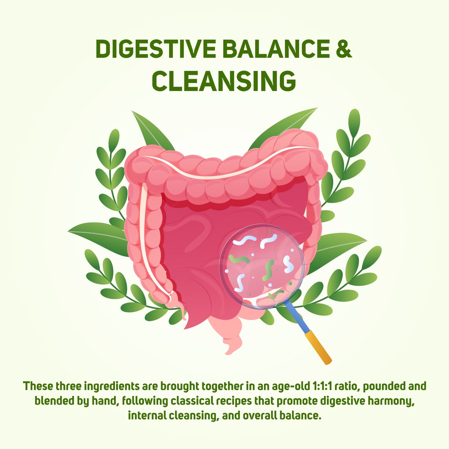 Vegetal Herbal Triphala Churna - Digestive Balance & Cleansing Powder, Ayurvedic Medicine for Gut Health & Detox Support, 180g