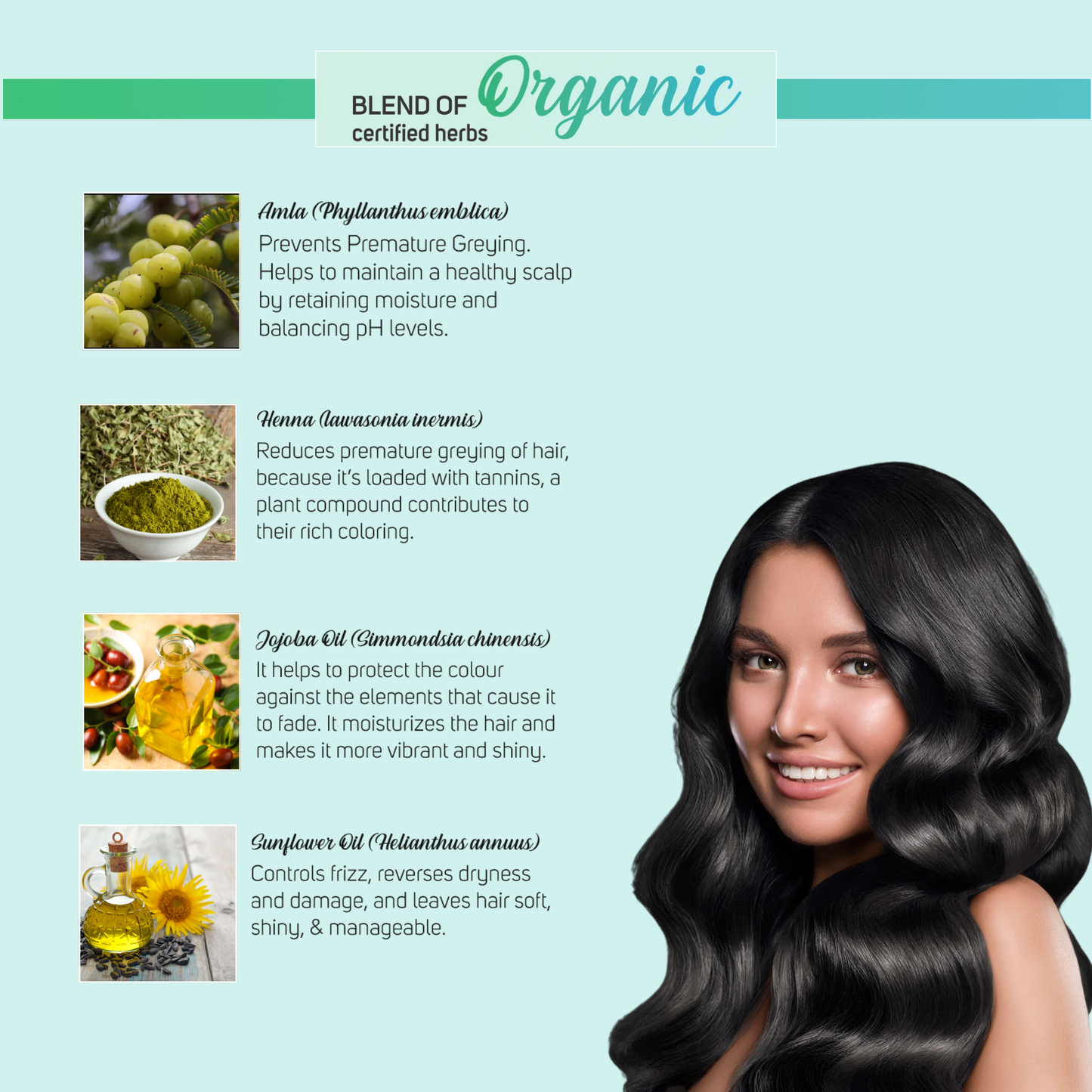 Vegetal Safe Color+ Soft Black - Permanent Gel Hair Color