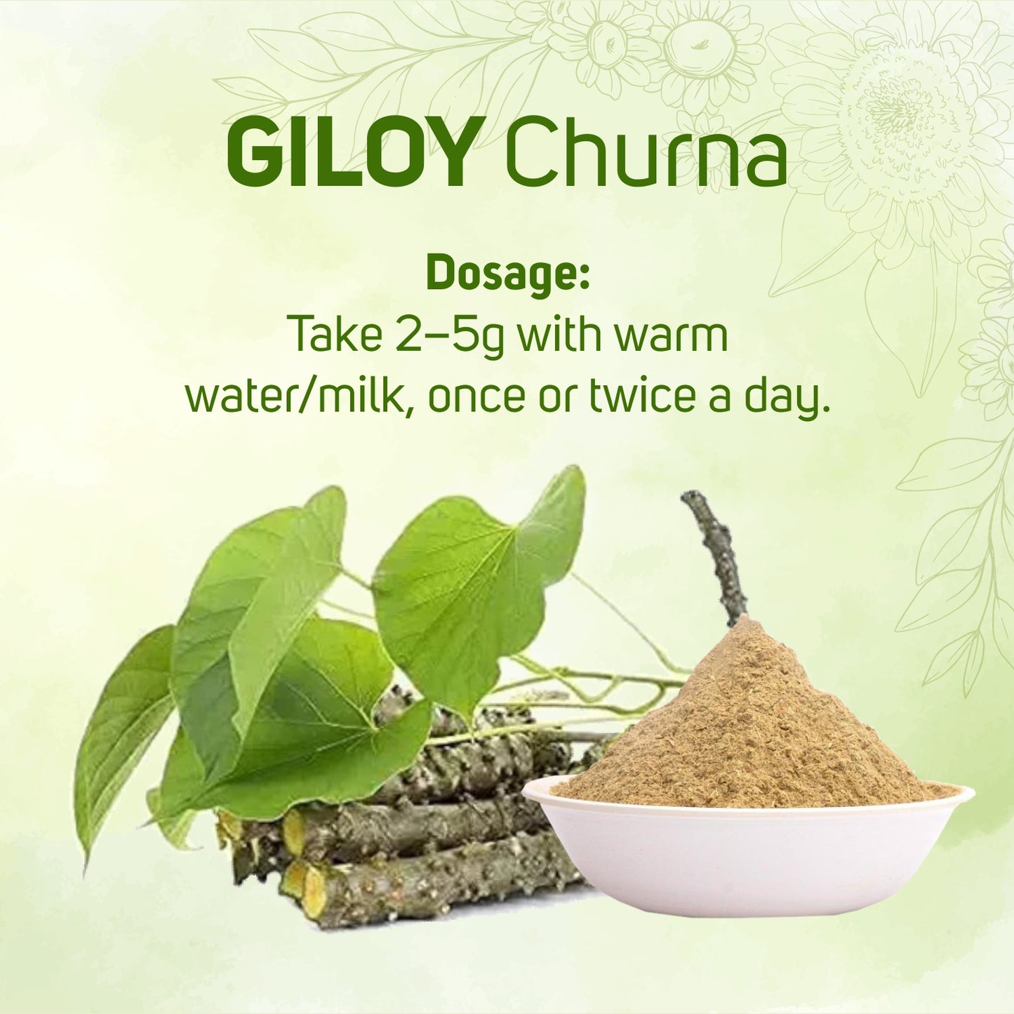Vegetal Giloy Churna Powder 180g | Tinospora Cordifolia | Immunity Booster, Natural Detox, Ayurvedic Blood Purifier | Harvested from Assam’s Wilds | Herbal Supplement for Fever & Wellness