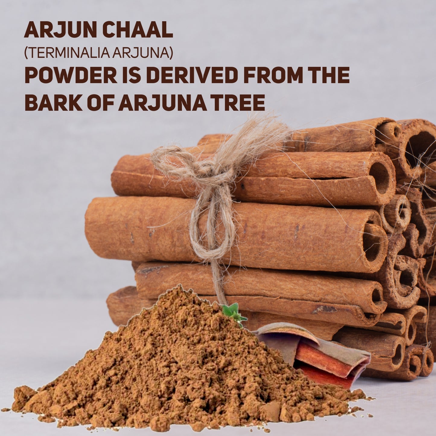 Vegetal Arjun Twak Churna | 100% Pure Arjuna Bark Powder | Heart Wellness, Cardiac Support, Blood Pressure & Cholesterol Care | Antioxidant-Rich Herbal Supplement (180g)