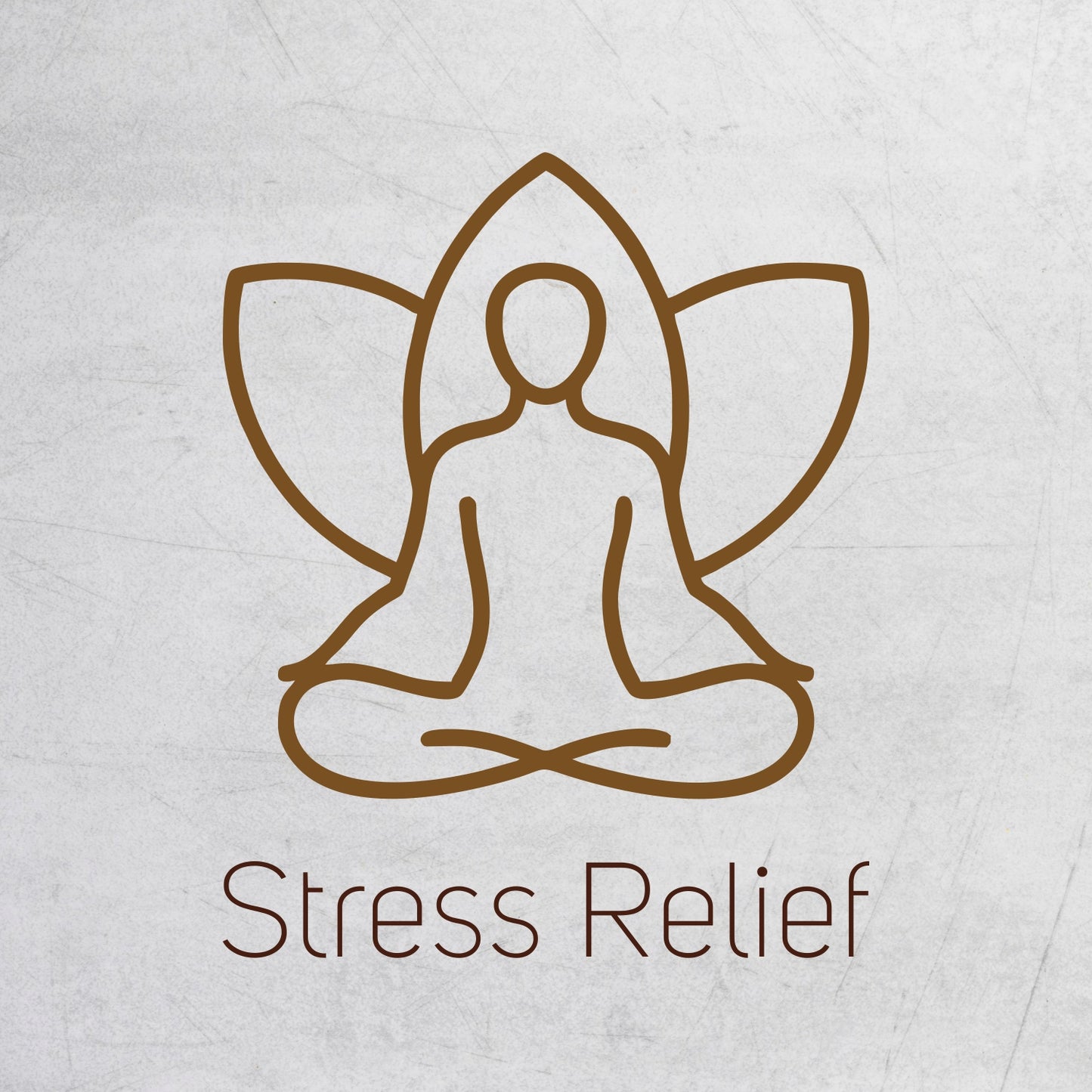 Vegetal Ashwagandha Churna | 150g | 100% Organic | Stress Relief, Strength & Stamina, Better Sleep & Hormonal Balance | No Preservatives or Artificial Colors | From Rajasthan’s Semi-Arid Soils