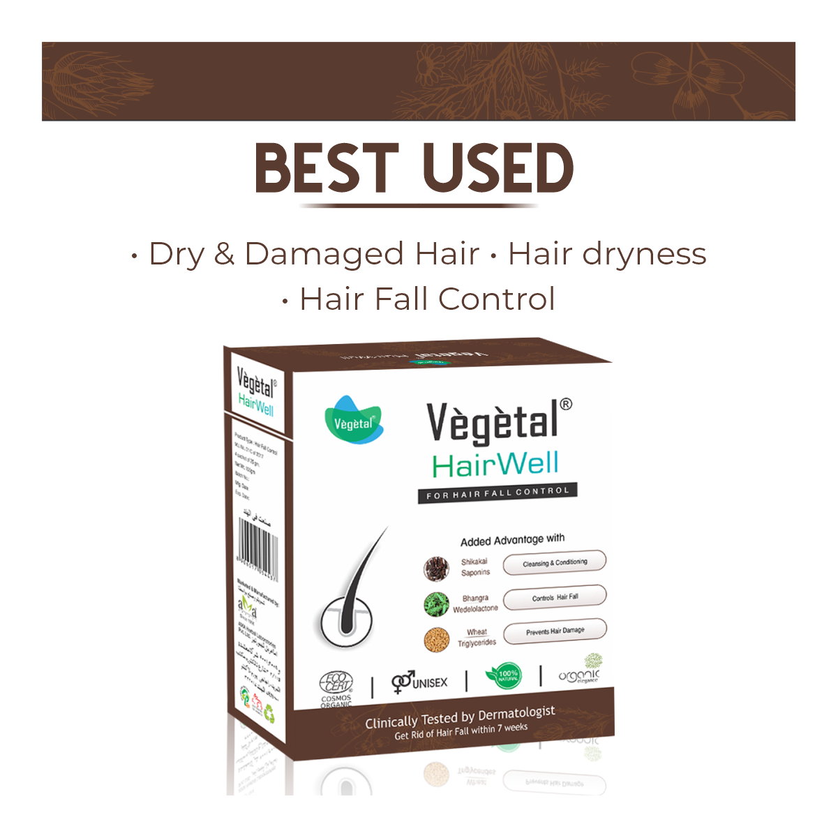 Vegetal HairWell -An Hair Fall Treatment And Regrowth Product 100g