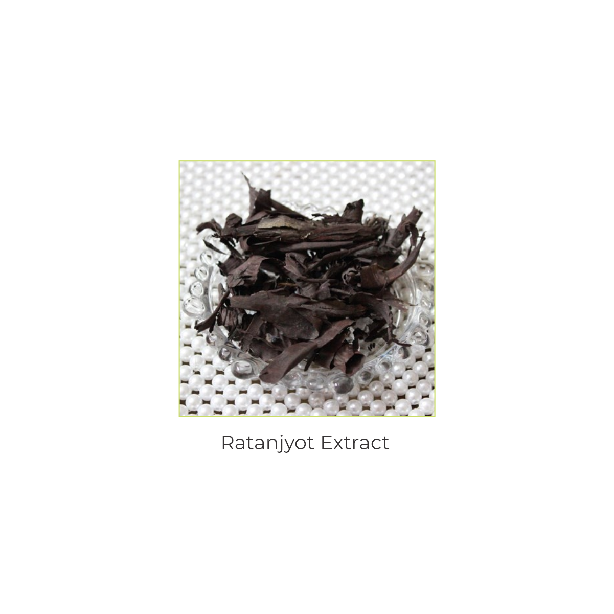 Vegetal Lip Balm