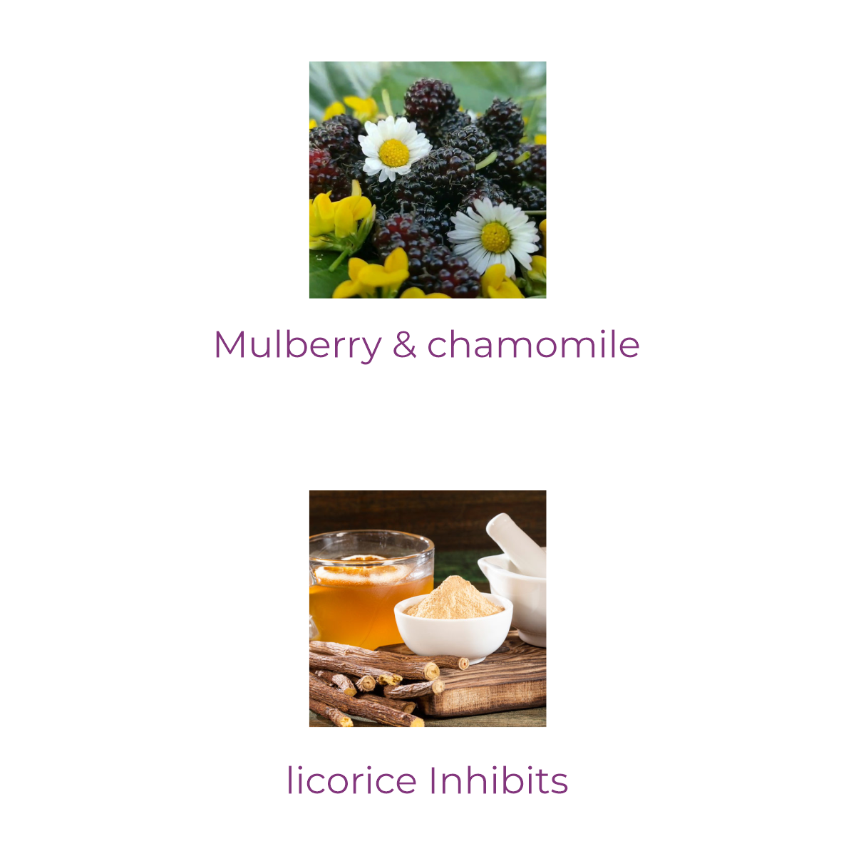 Glossage Premium Complexion Cream