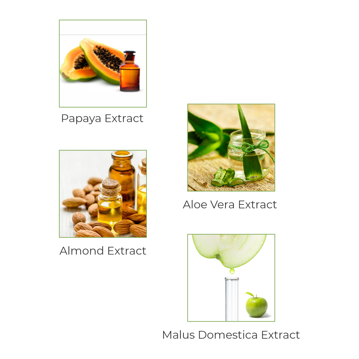 Papenglow Fairness Face Pack For Oily Skin With Papaya Extract