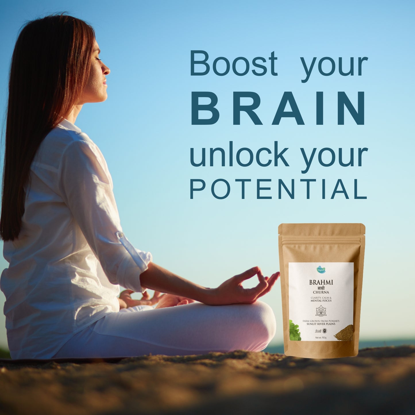 Vegetal Brahmi Churna Powder 150g | Natural Memory Booster, Mental Calm, Focus & Clarity | Nervous System Support | 100% Pure & Natural Herbal Supplement