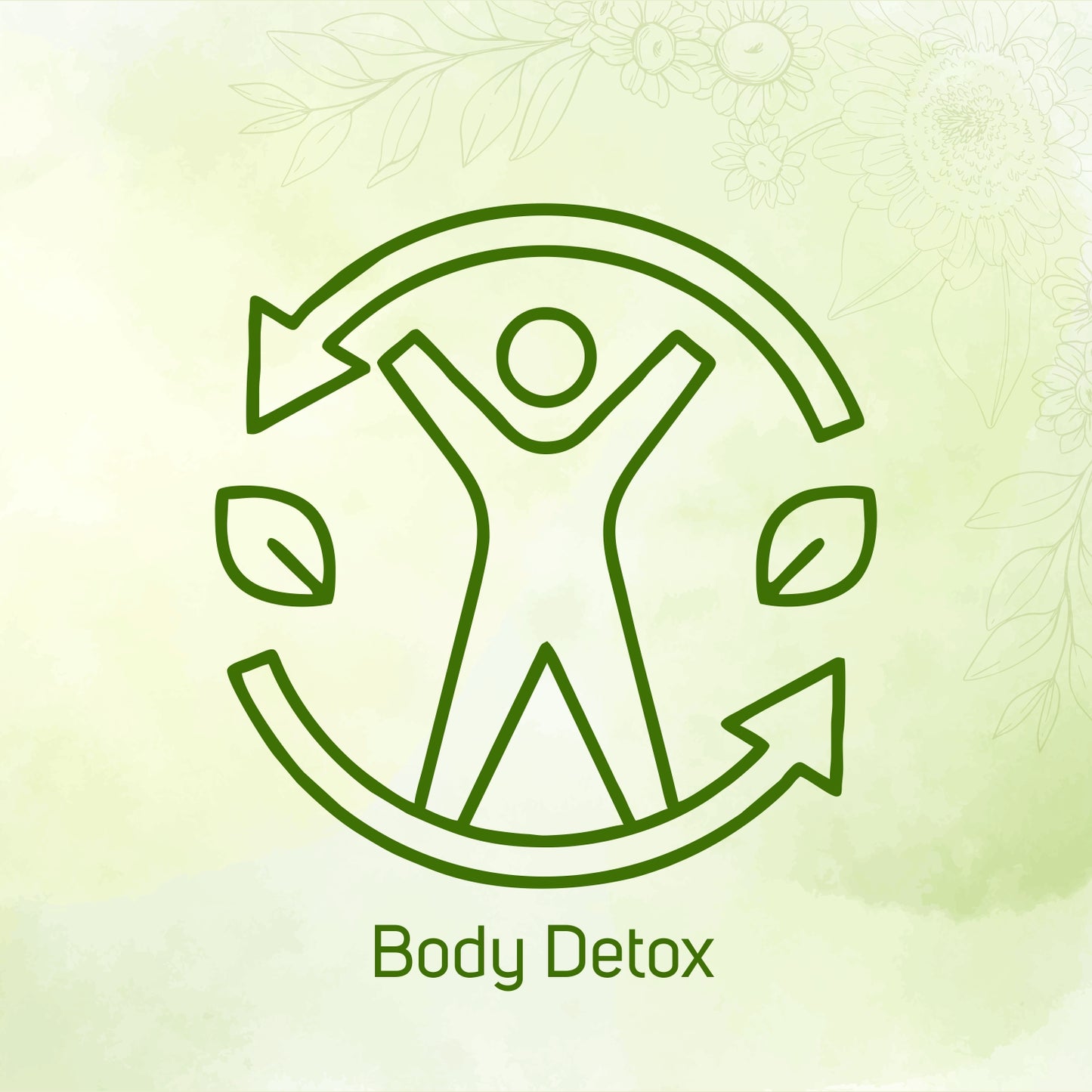 Vegetal Giloy Churna Powder 180g | Tinospora Cordifolia | Immunity Booster, Natural Detox, Ayurvedic Blood Purifier | Harvested from Assam’s Wilds | Herbal Supplement for Fever & Wellness