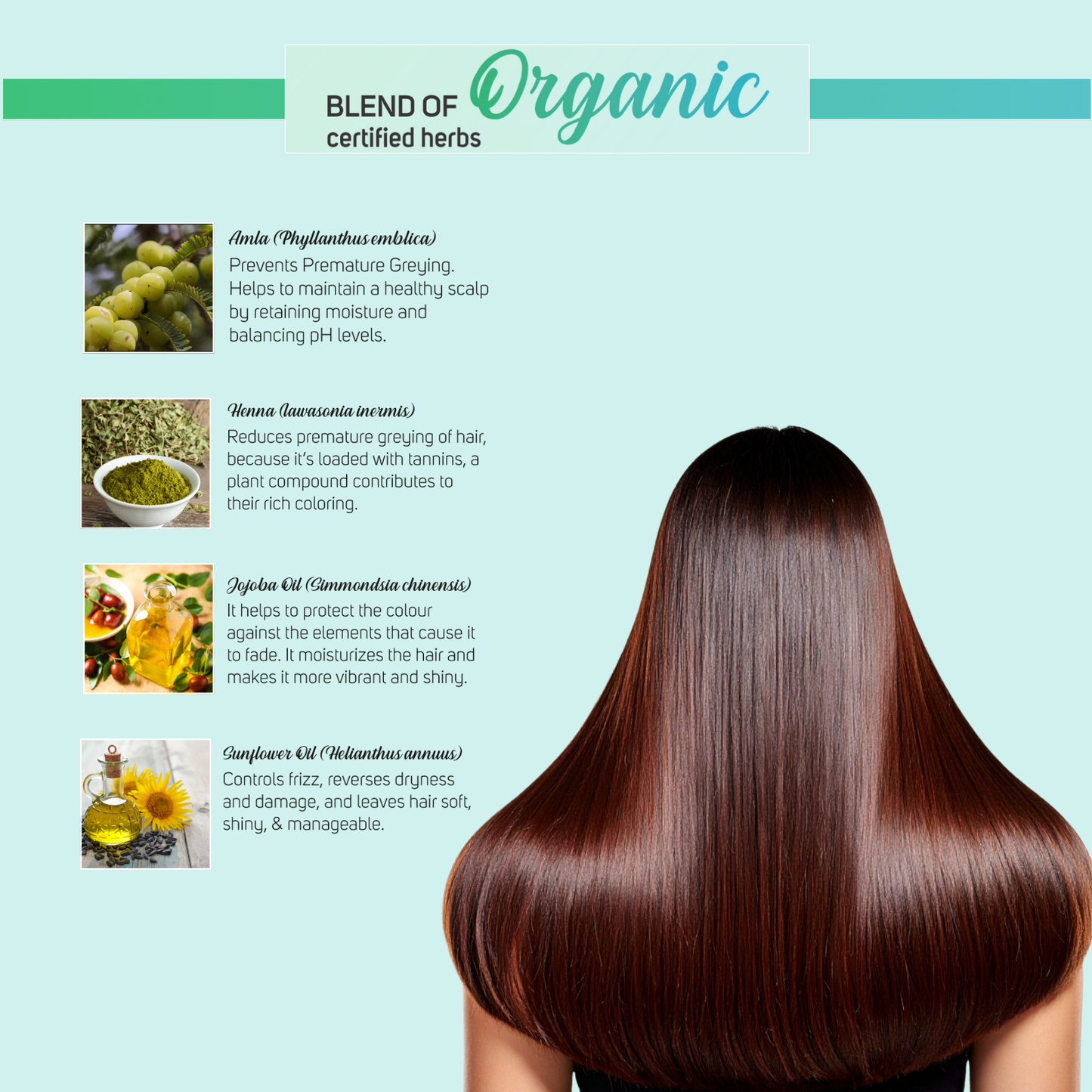 Vegetal Safe & Organic Hair Gel Color - Dark Brown